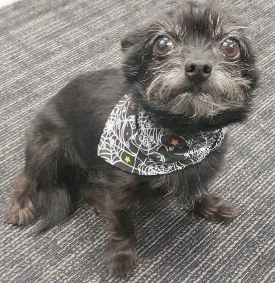 Photo Dec 07 2025, 8 46 24 PM.jpg