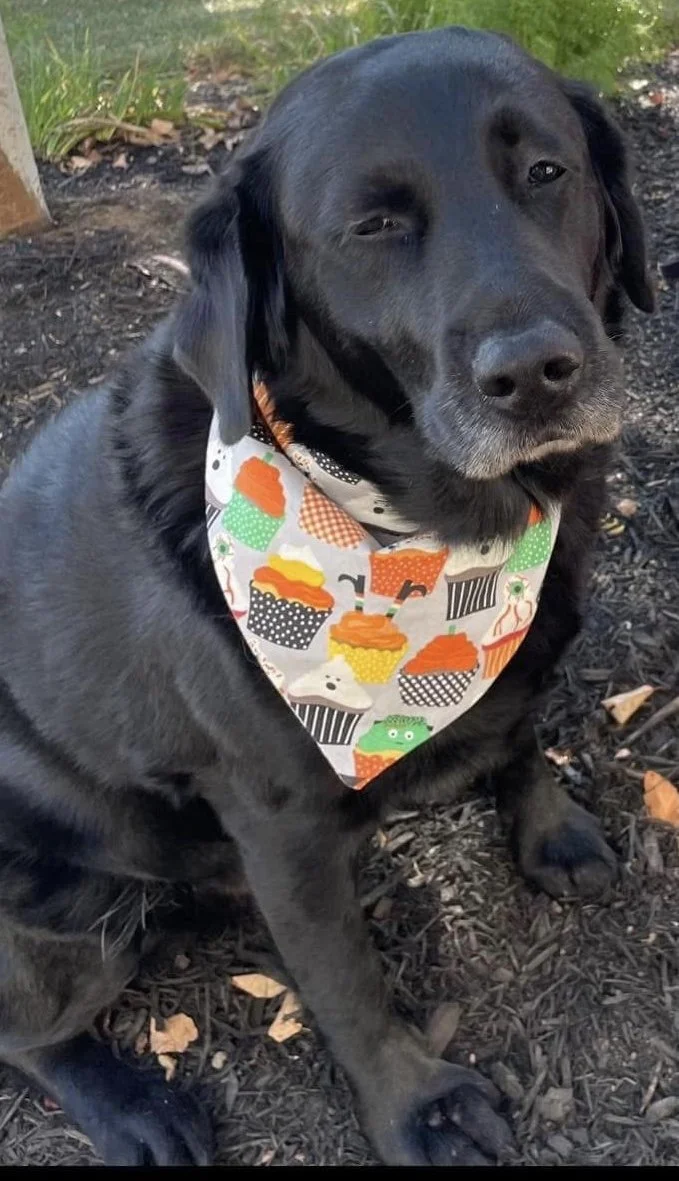 Photo Dec 07 2025, 8 51 17 PM.jpg