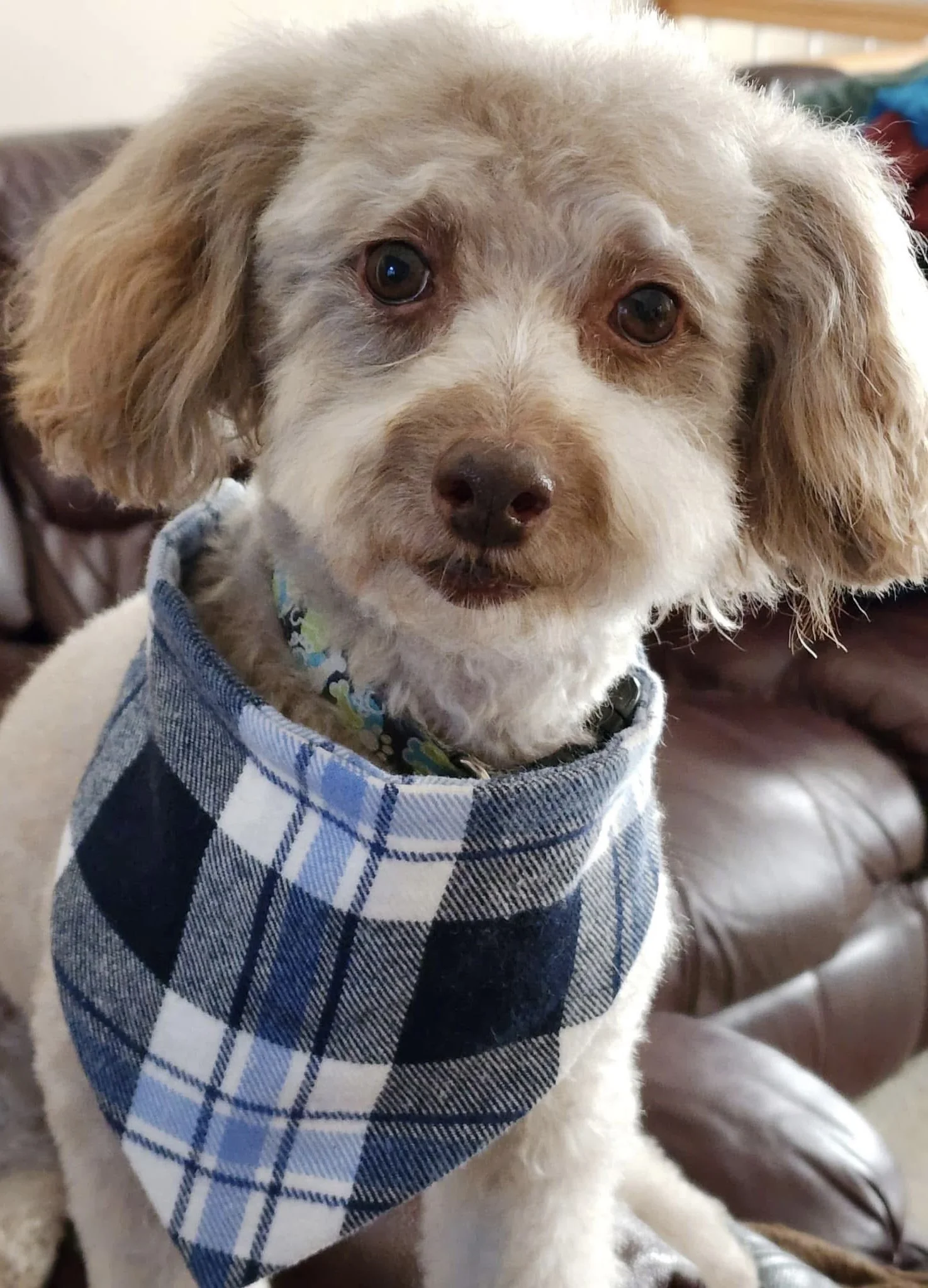 Photo Dec 07 2025, 9 16 22 PM.jpg