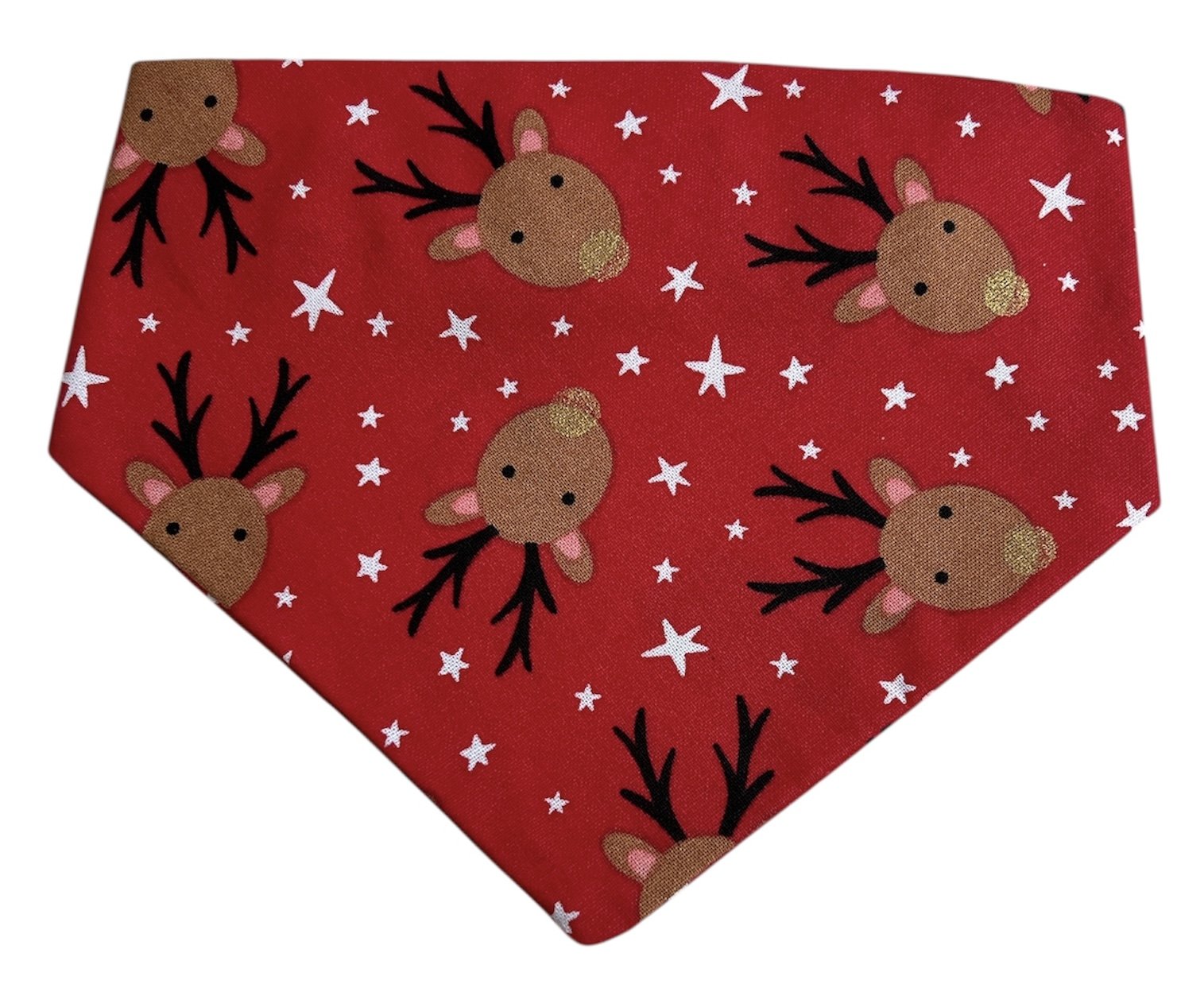 Red Reindeer Front (2).JPG