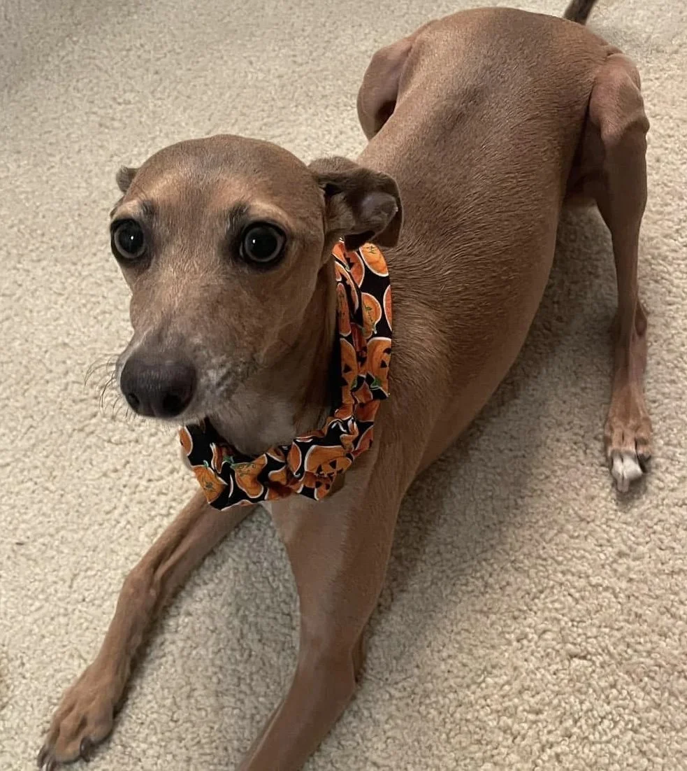 Photo Dec 08 2025, 4 47 44 PM (8).jpg