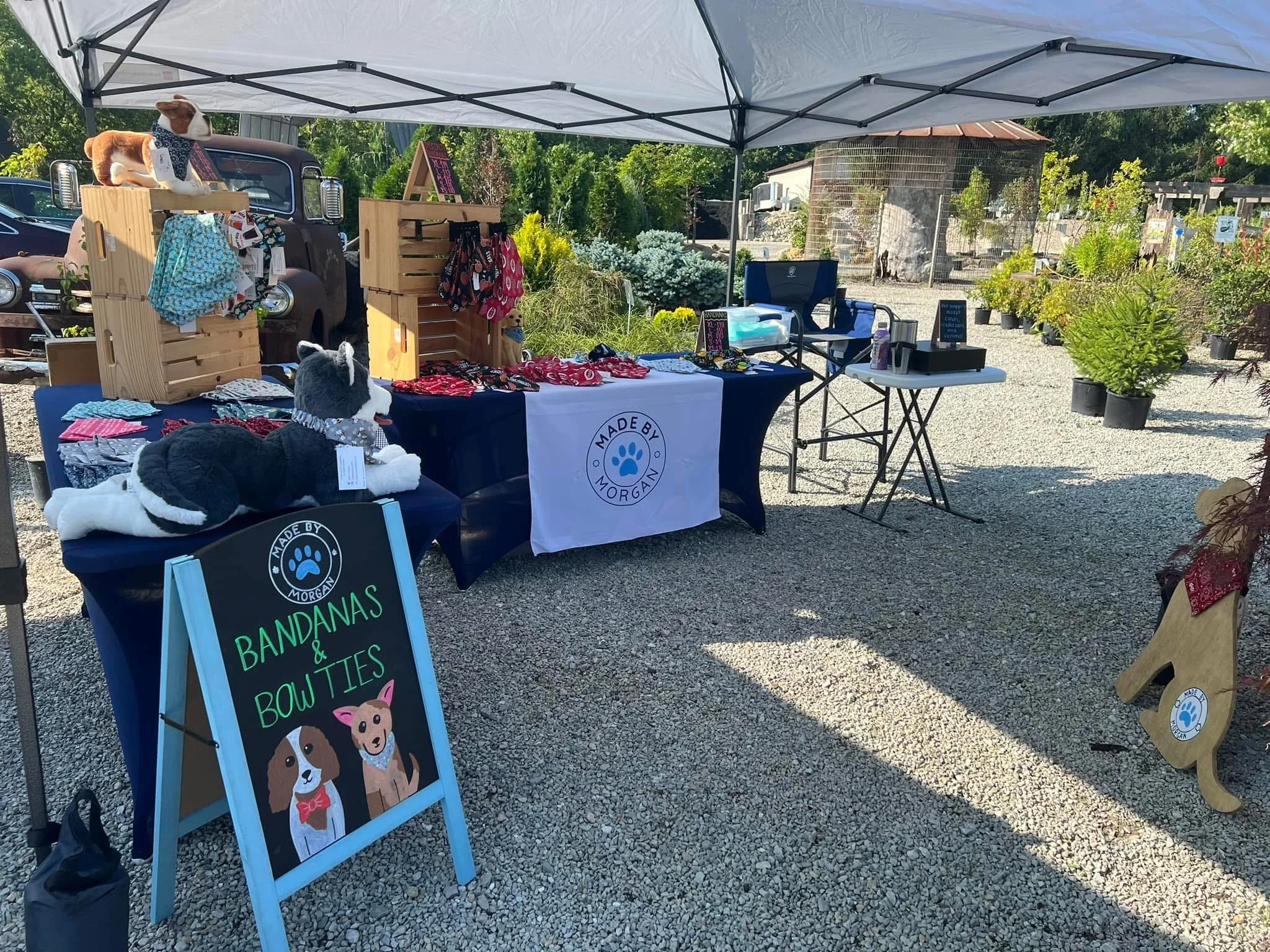 Caseys Solution- Garden Party