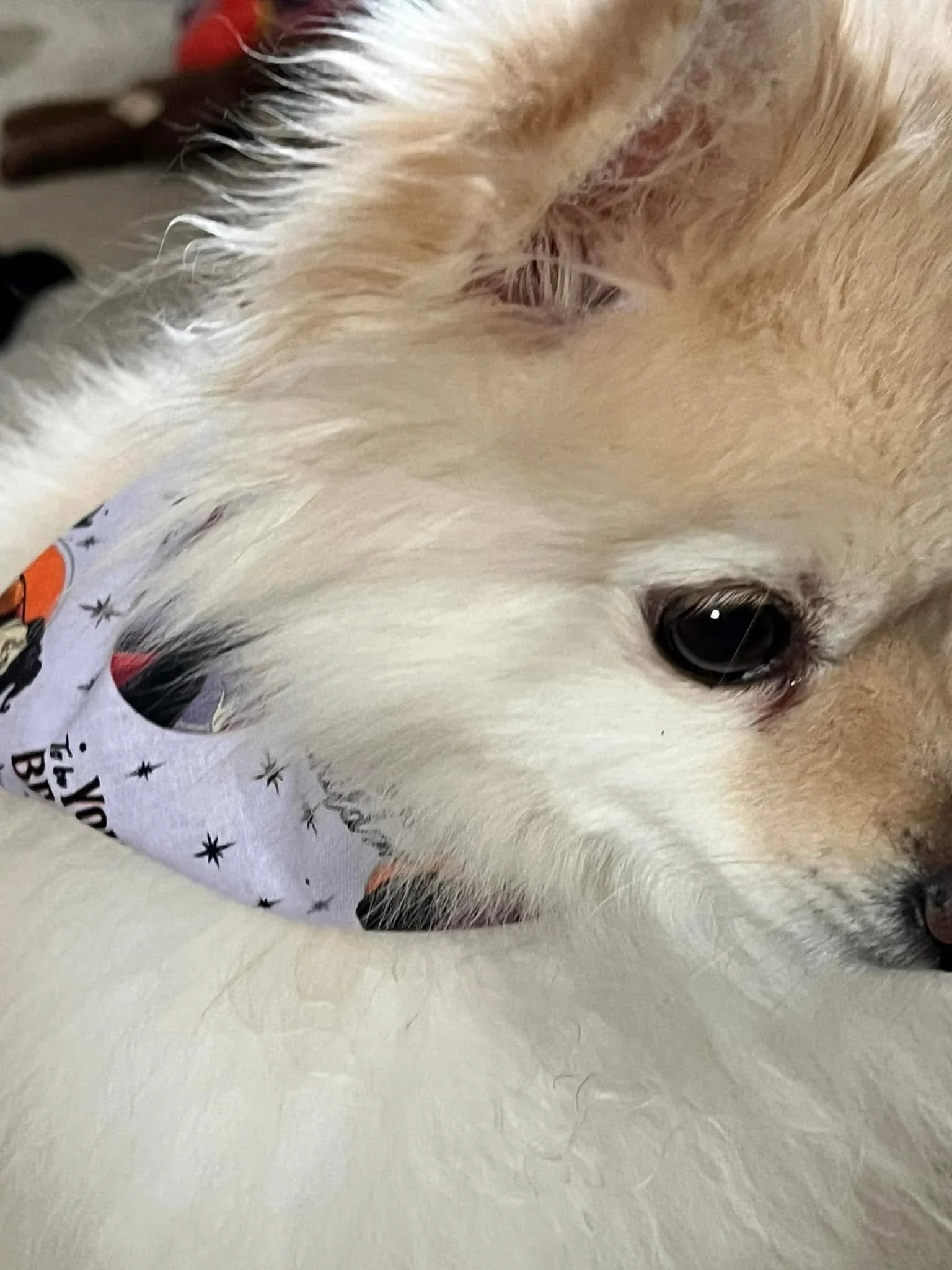 Photo Dec 07 2025, 8 42 43 PM (5).jpg