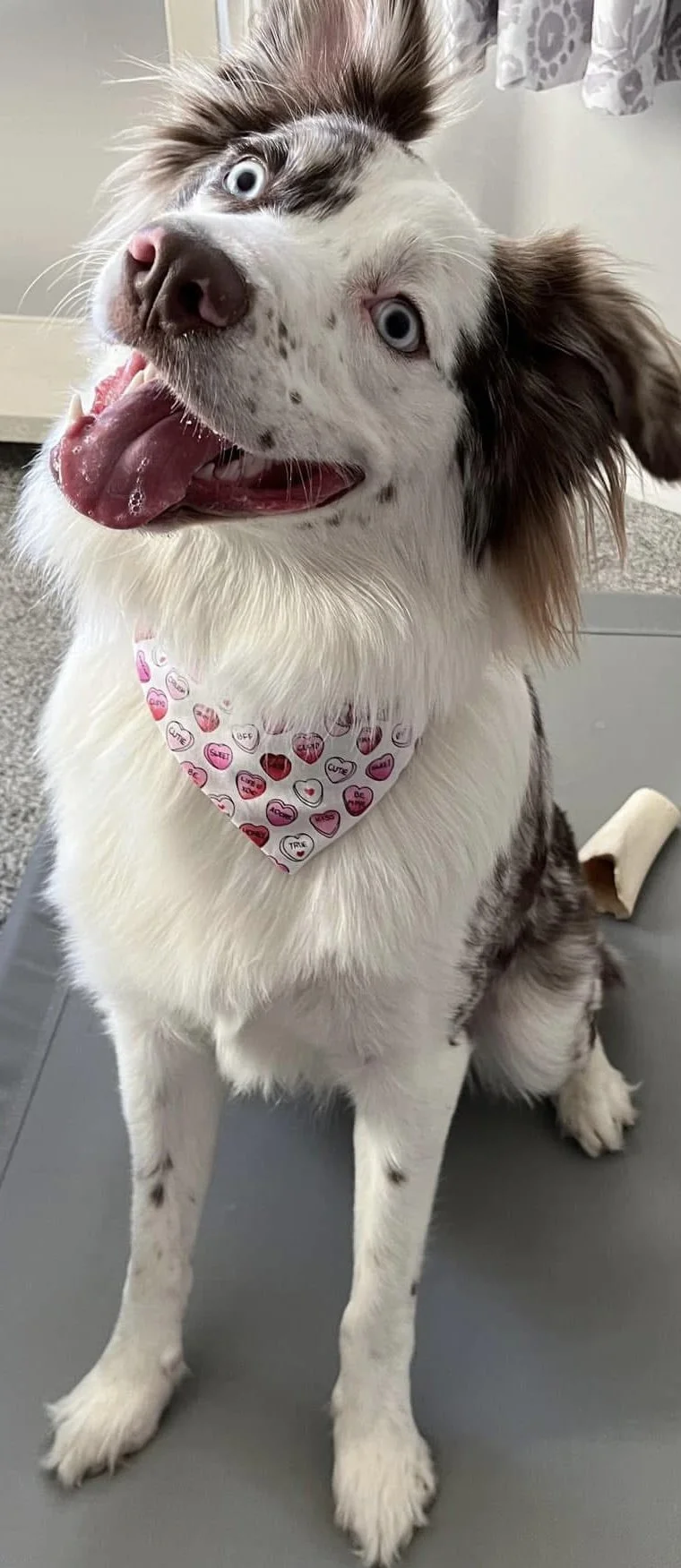 Photo Dec 07 2025, 9 05 43 PM (3).jpg