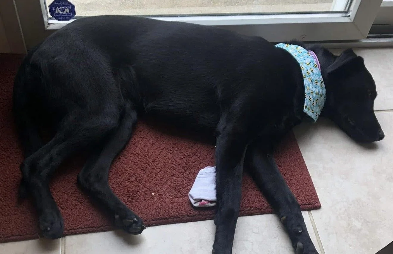 Photo Dec 07 2025, 9 00 38 PM (1).jpg