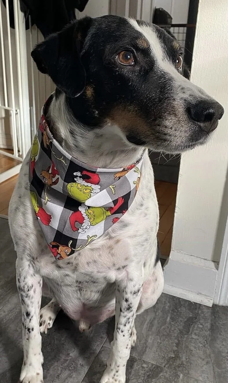 Photo Dec 07 2025, 8 46 24 PM (4).jpg