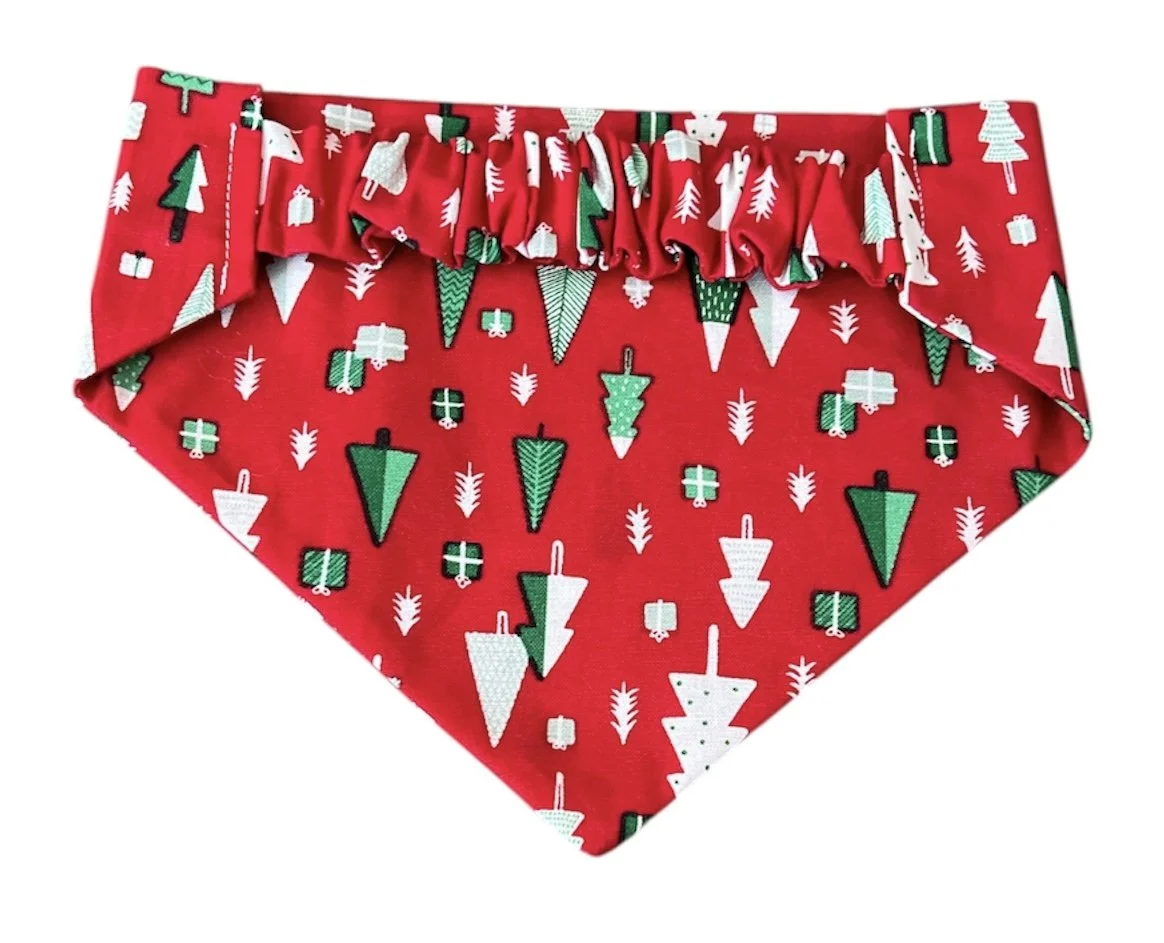 Photo Dec 03 2025, 1 35 40 PM (10).jpg