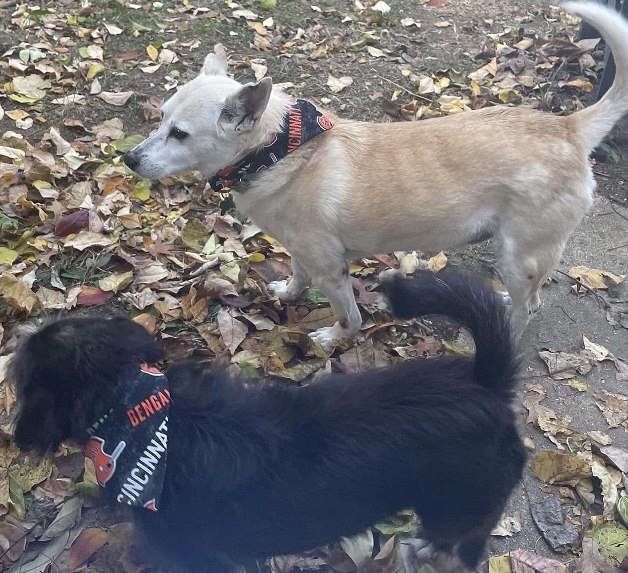 Photo Dec 07 2025, 8 42 43 PM (3).jpg