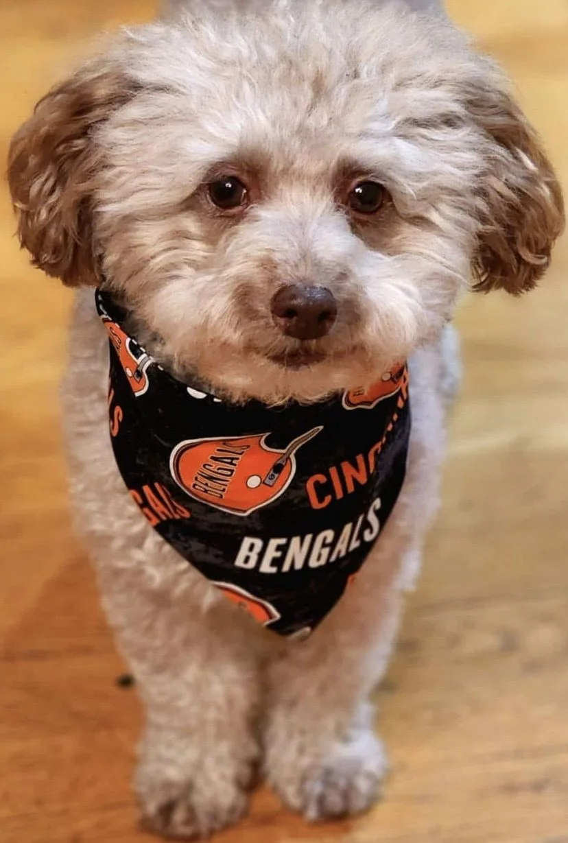 Photo Dec 07 2025, 8 42 43 PM (7).jpg