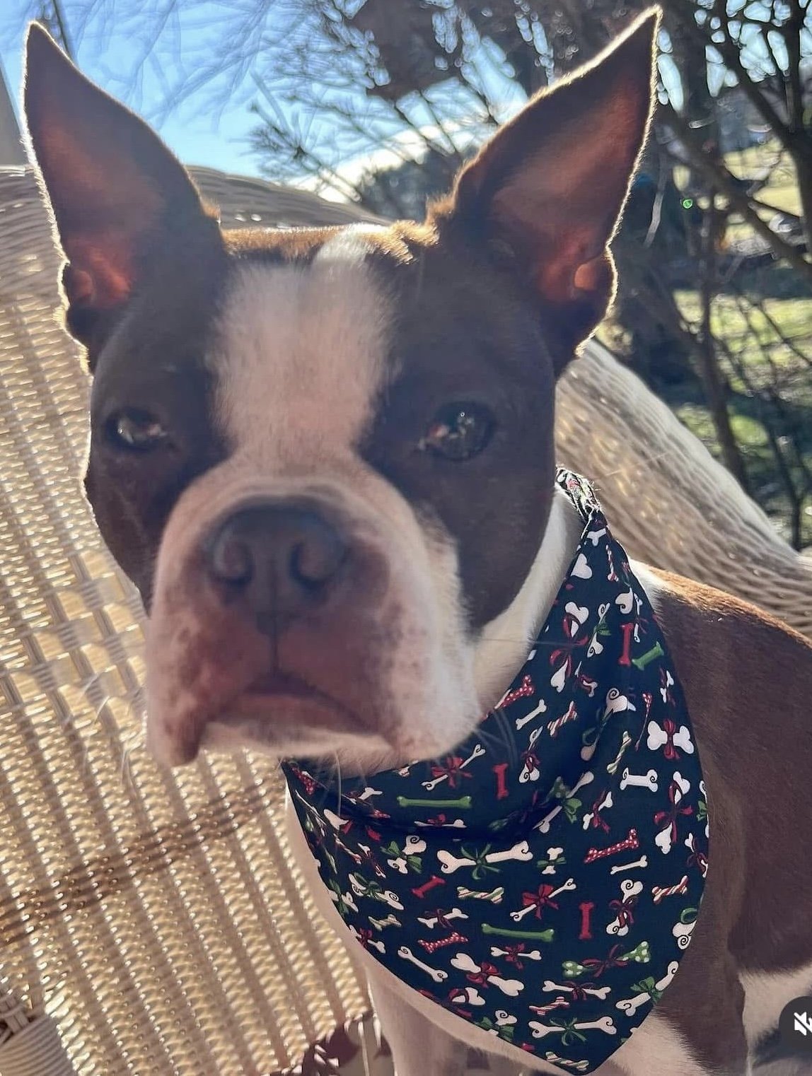 Photo Dec 07 2025, 8 46 24 PM (6).jpg