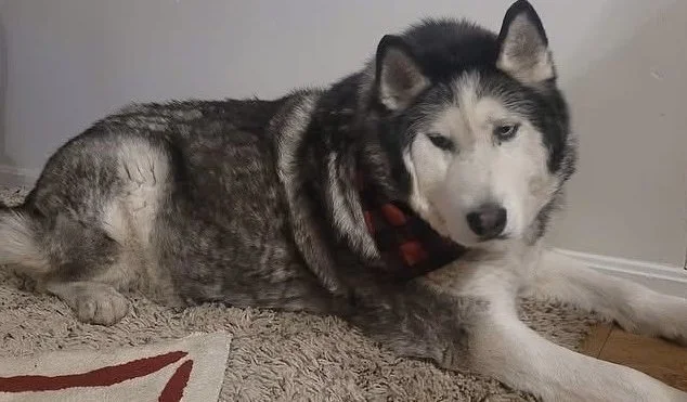 Photo Dec 07 2025, 8 42 43 PM (12) (1).jpg