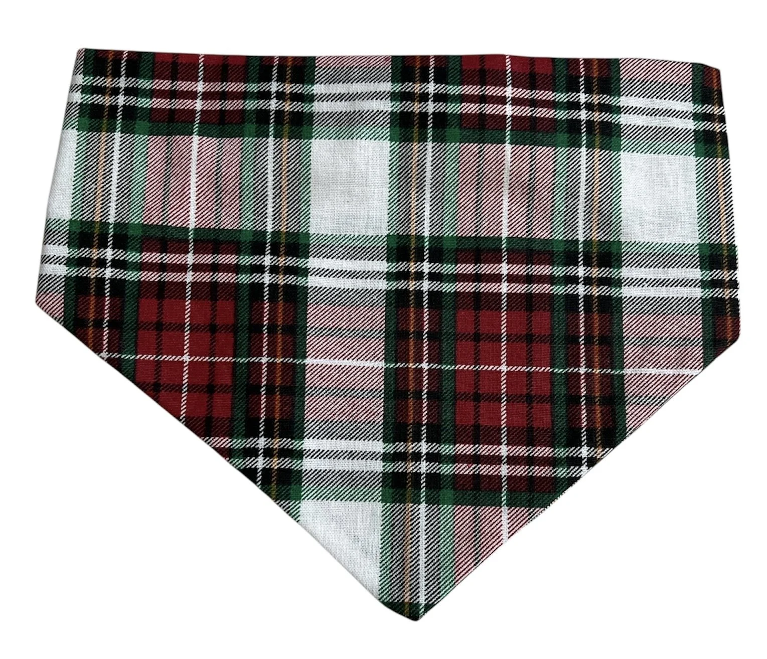 Photo Dec 09 2025, 2 30 29 PM (4).jpg