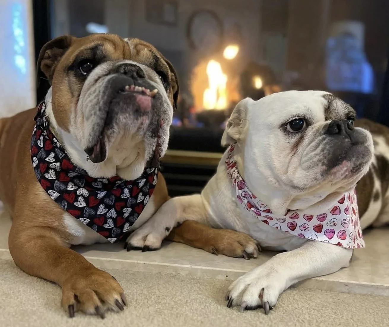 Photo Dec 07 2025, 8 46 24 PM (7).jpg