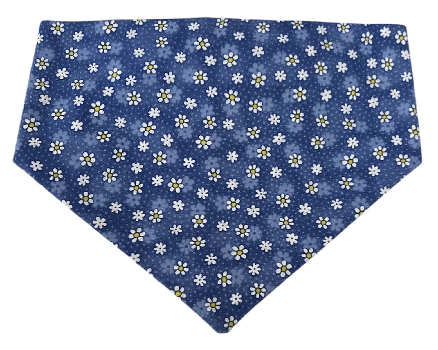 Photo Dec 09 2025, 10 52 53 PM (29).jpg