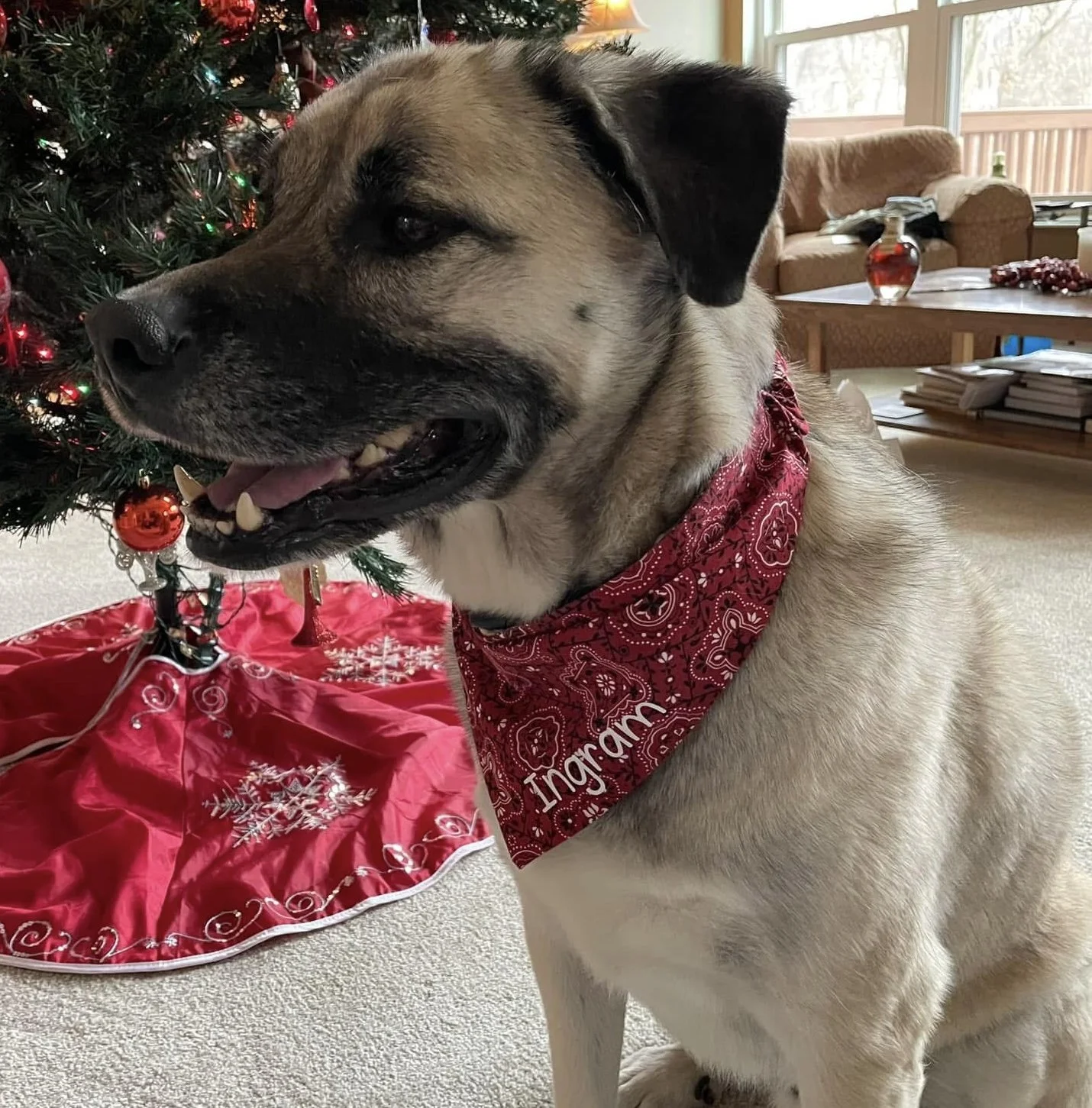 Photo Dec 07 2025, 8 46 24 PM (5).jpg