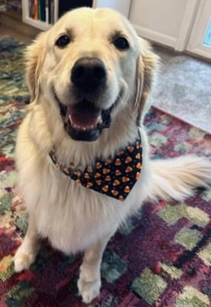 Photo Dec 07 2025, 8 51 17 PM (1).jpg