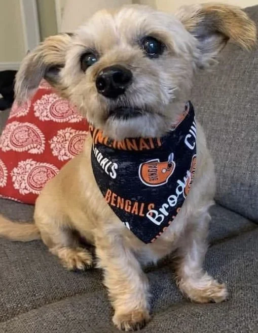 Photo Dec 07 2025, 9 16 22 PM (1) (1).jpg