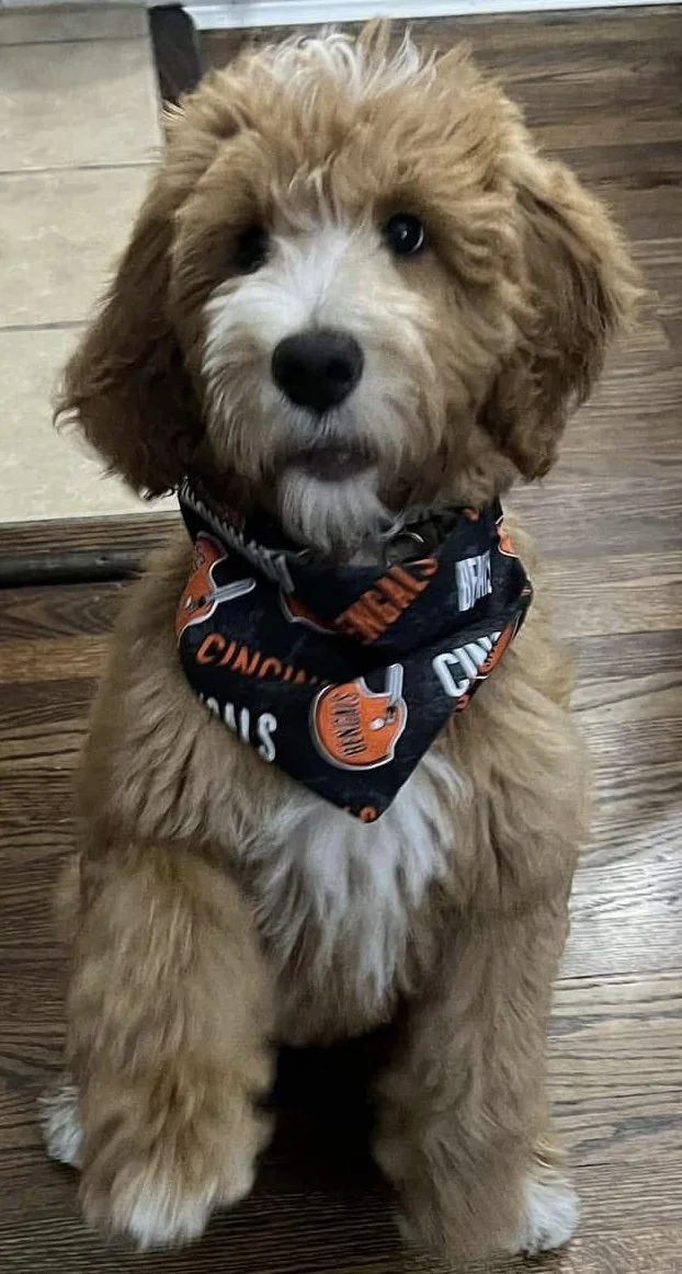 Photo Dec 07 2025, 8 55 31 PM (5).jpg