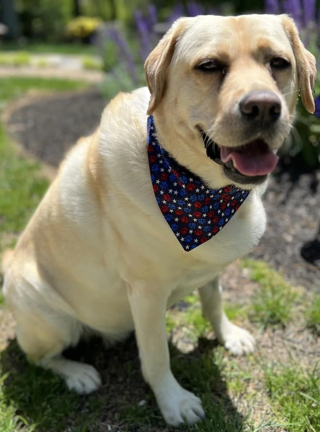 Photo Dec 07 2025, 9 00 38 PM (7).jpg