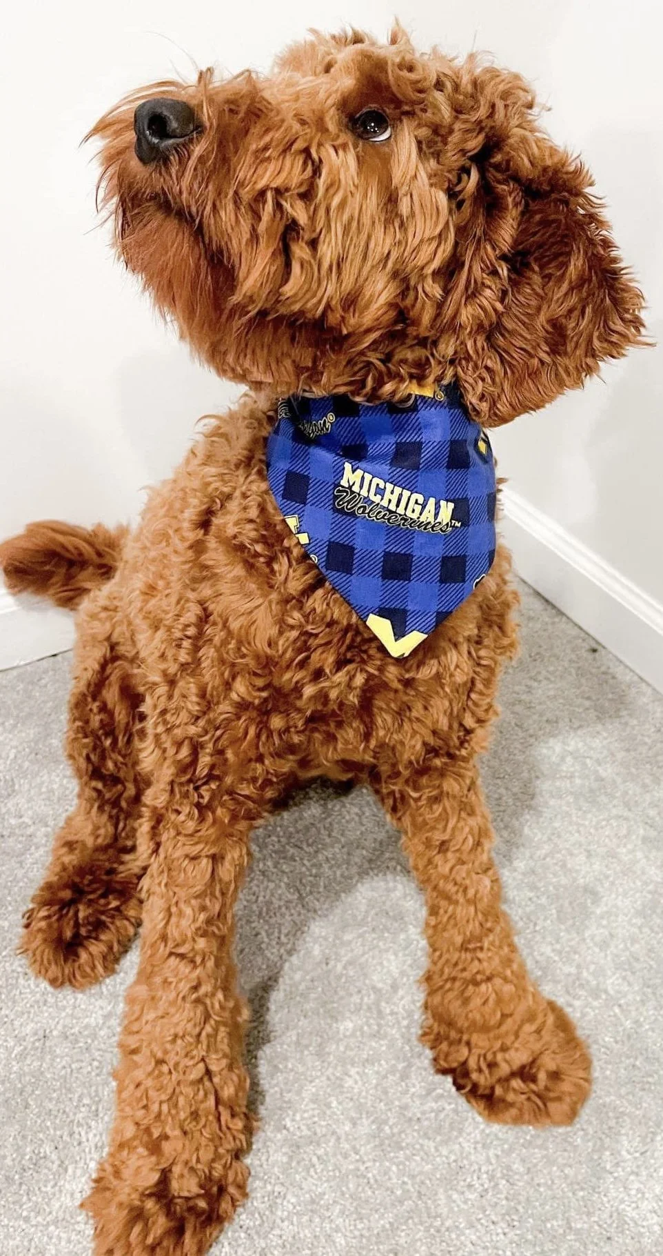 Photo Dec 08 2025, 4 47 44 PM (1).jpg