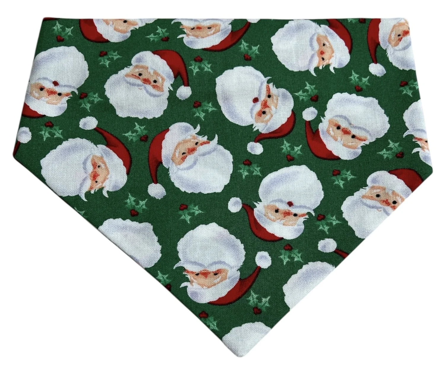 Green Santa Front.JPG