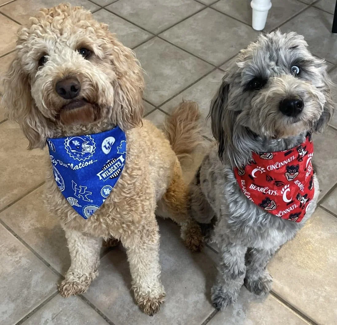 Photo Dec 07 2025, 8 46 24 PM (1).jpg