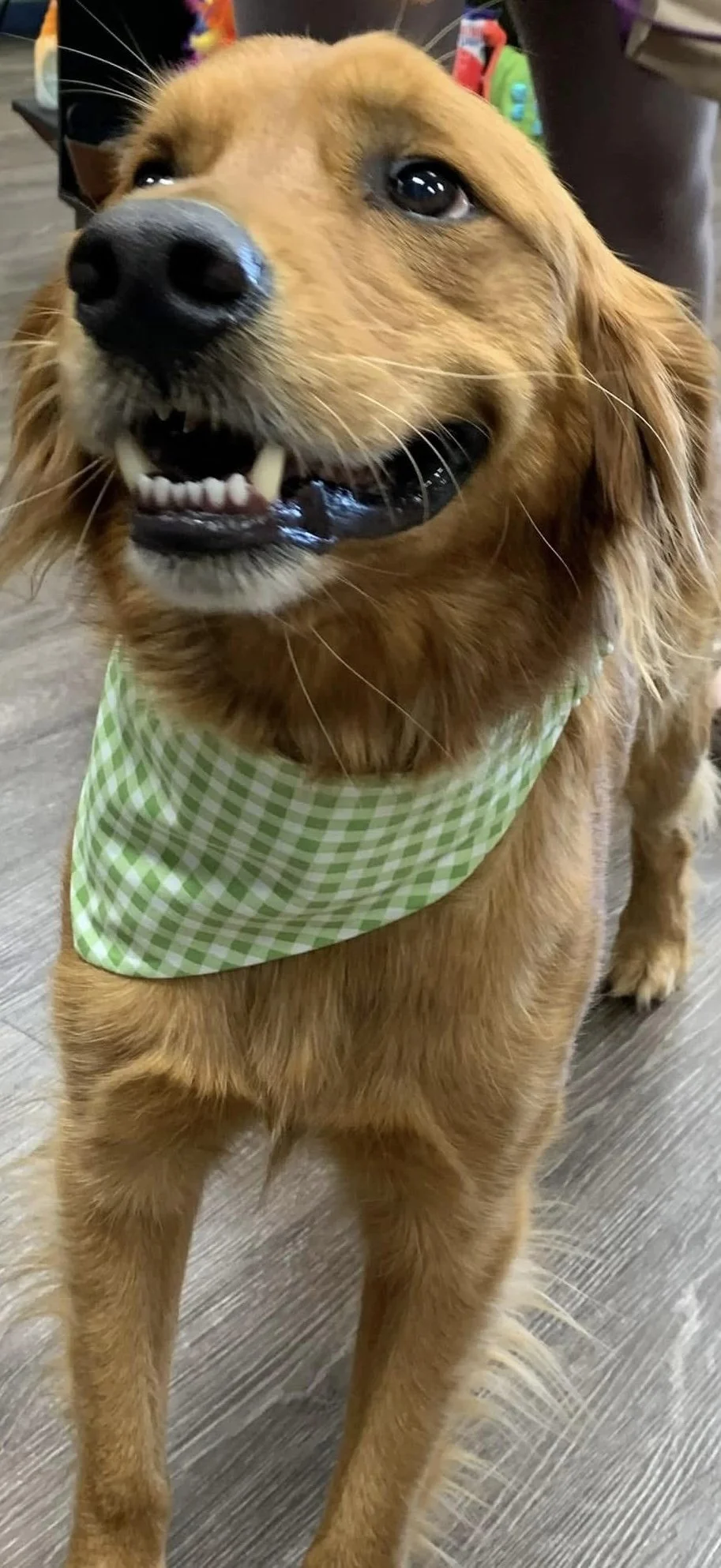 Photo Dec 07 2025, 9 05 43 PM (6).jpg