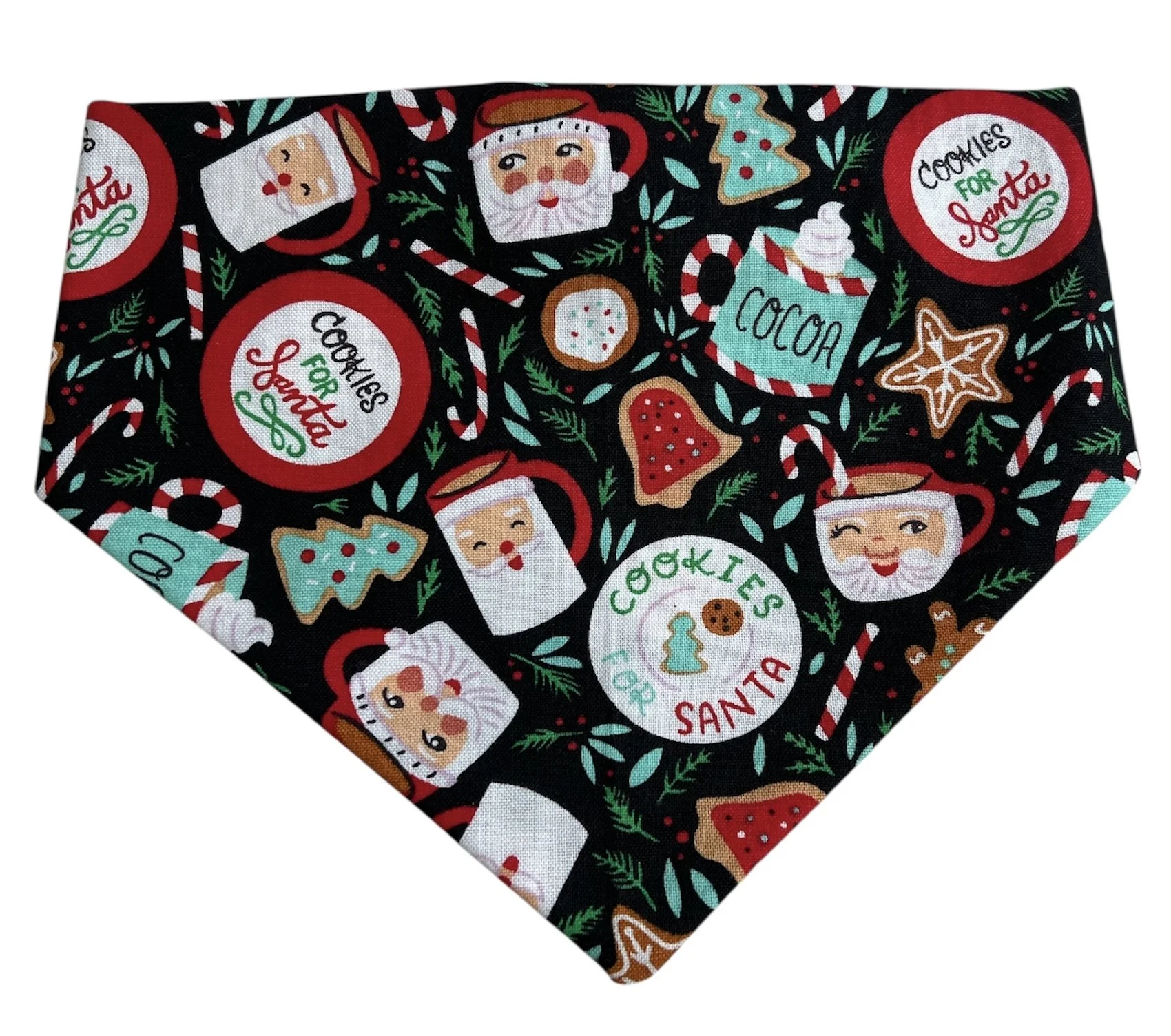 Cookies for Santa Front.JPG