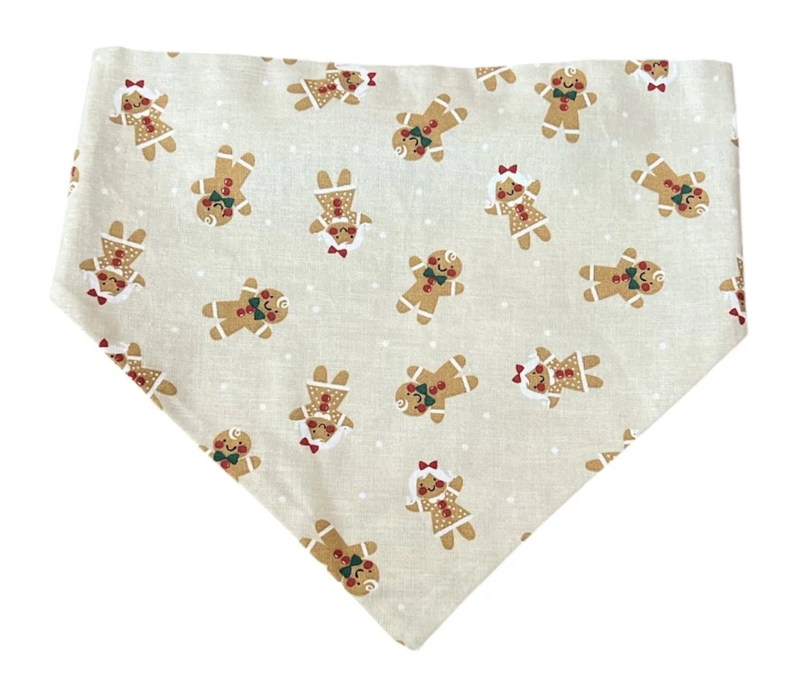 Tan Gingerbread Front.JPG