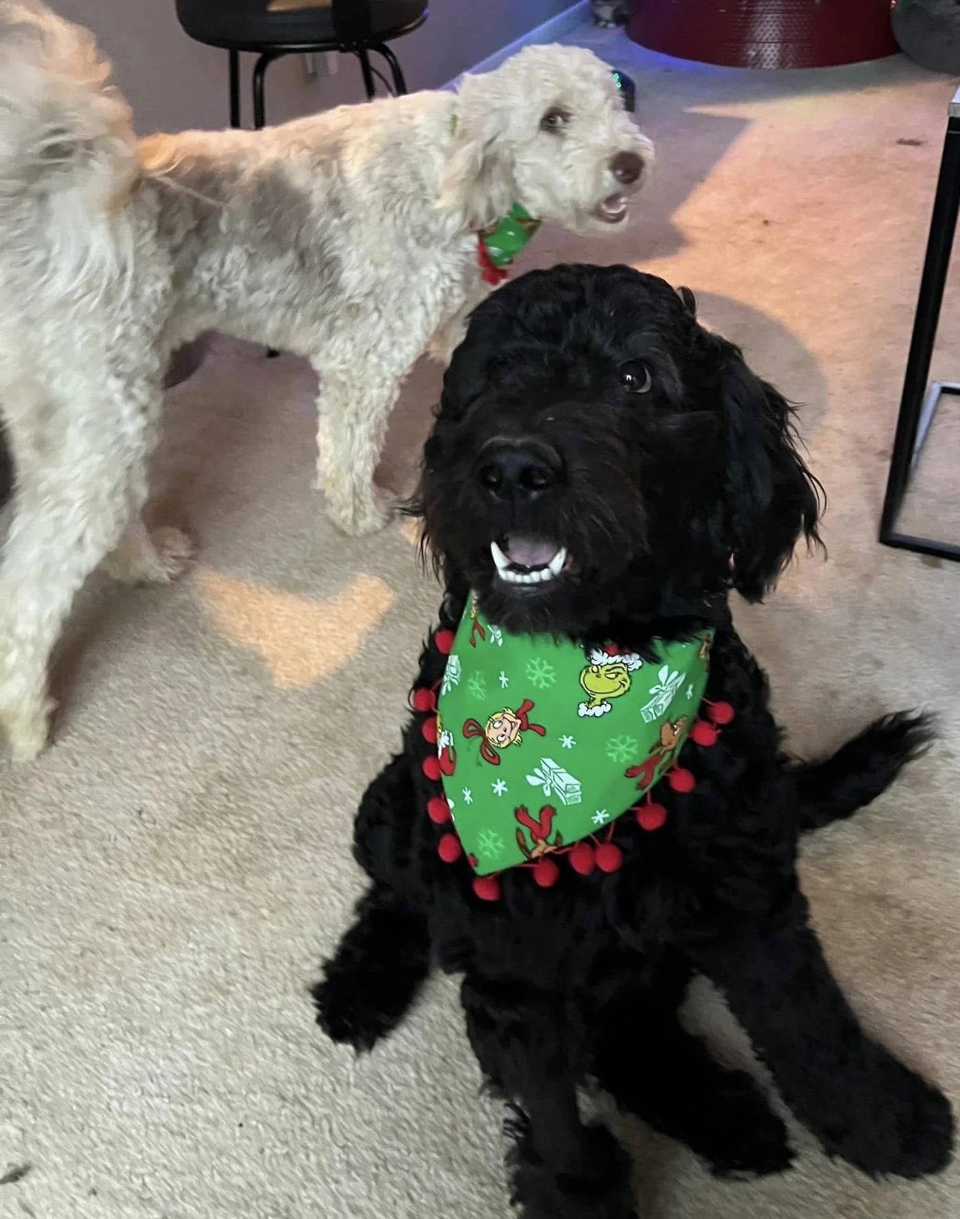 Photo Dec 07 2025, 9 11 30 PM (1).jpg