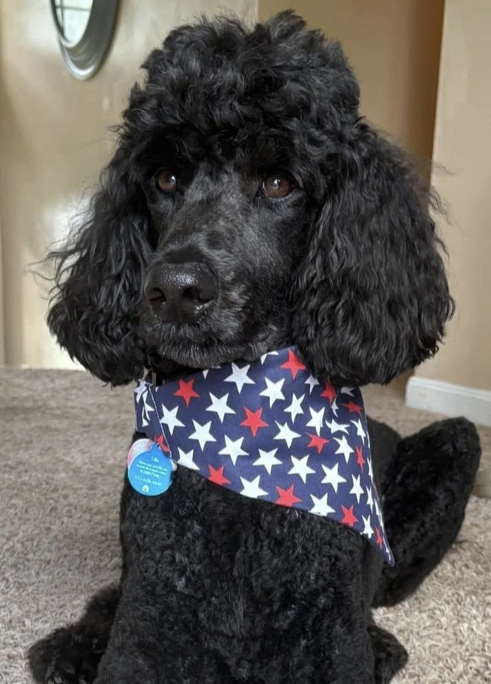 Photo Dec 07 2025, 8 46 24 PM (8).jpg