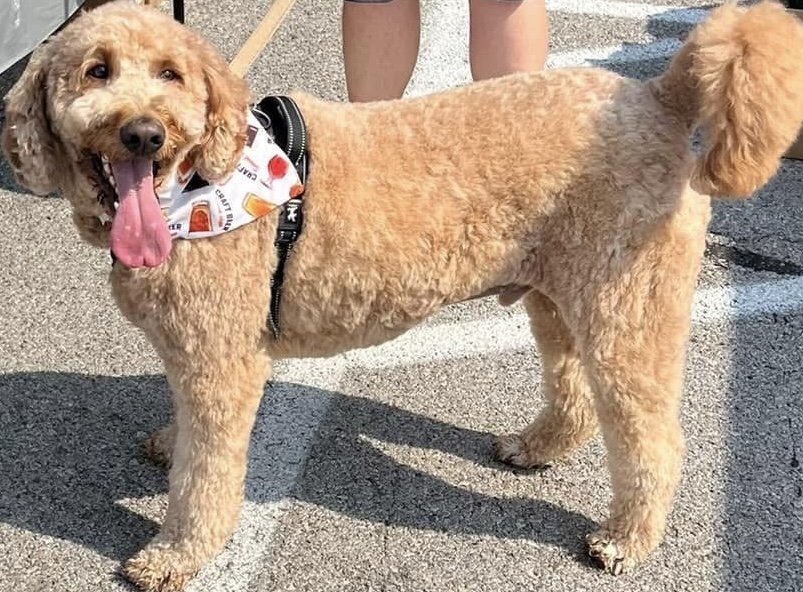 Photo Dec 07 2025, 8 55 31 PM.jpg