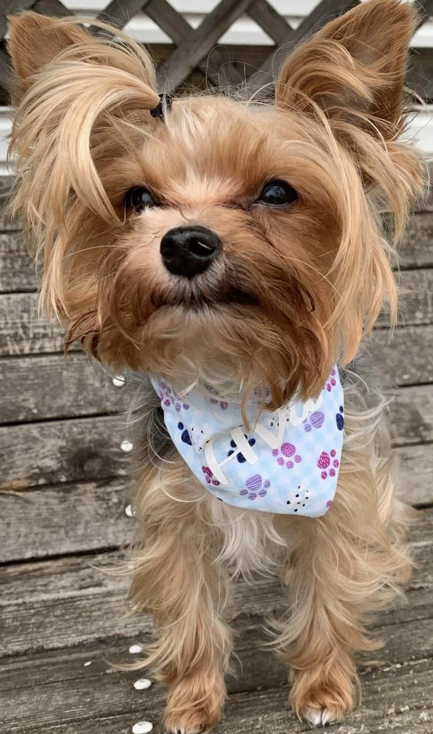 Photo Dec 08 2025, 4 47 44 PM (4).jpg