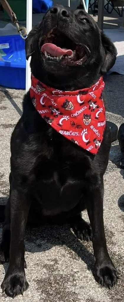 Photo Dec 07 2025, 8 55 31 PM (1).jpg