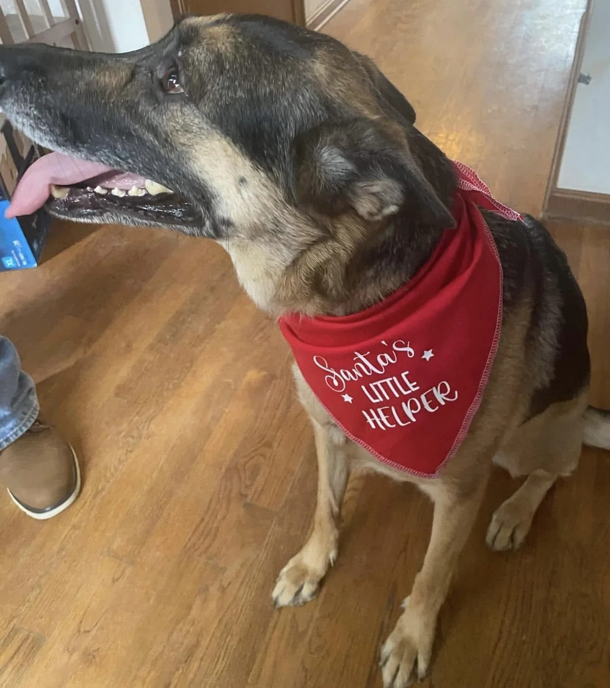 Photo Dec 07 2025, 8 42 43 PM (11).jpg