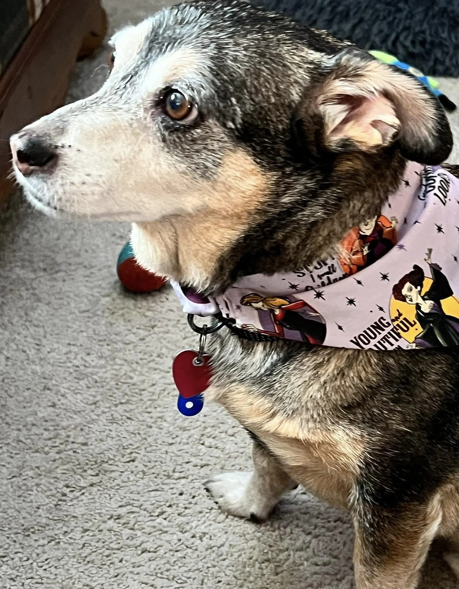 Photo Dec 07 2025, 8 42 43 PM (6).jpg