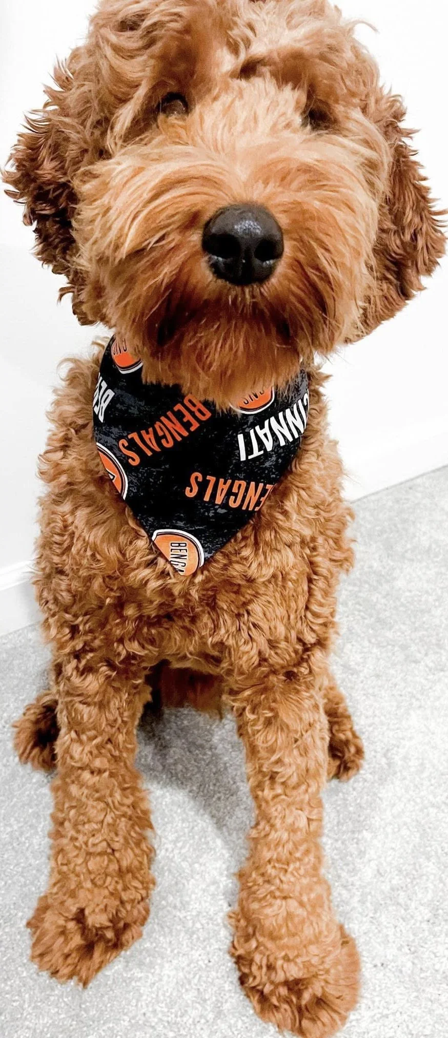 Photo Dec 08 2025, 4 47 44 PM (1) (1).jpg