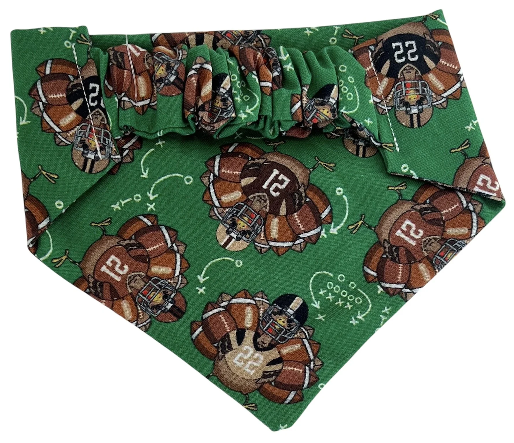 Football Turkeys Back.JPG