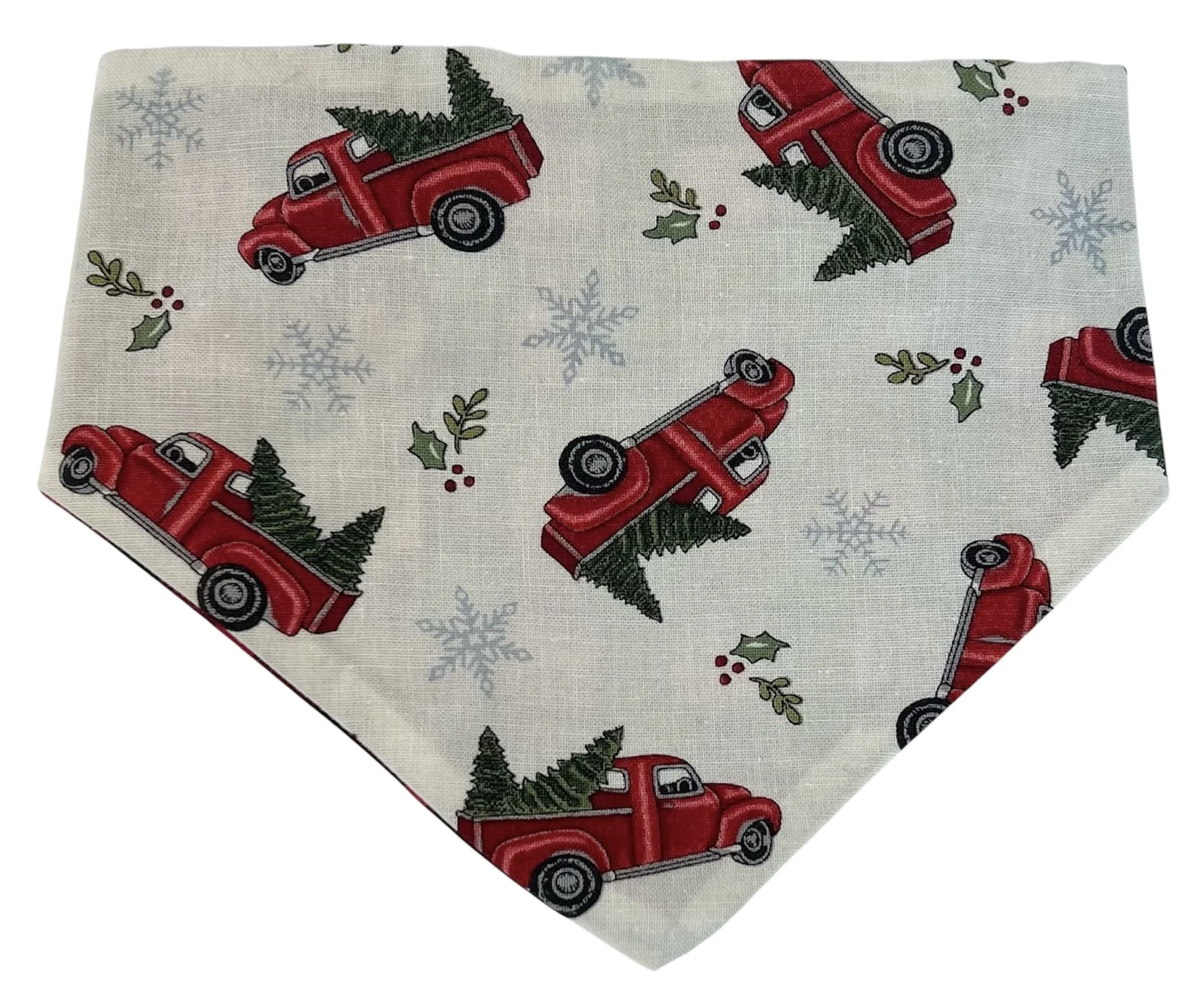 Red Trucks Front.JPG