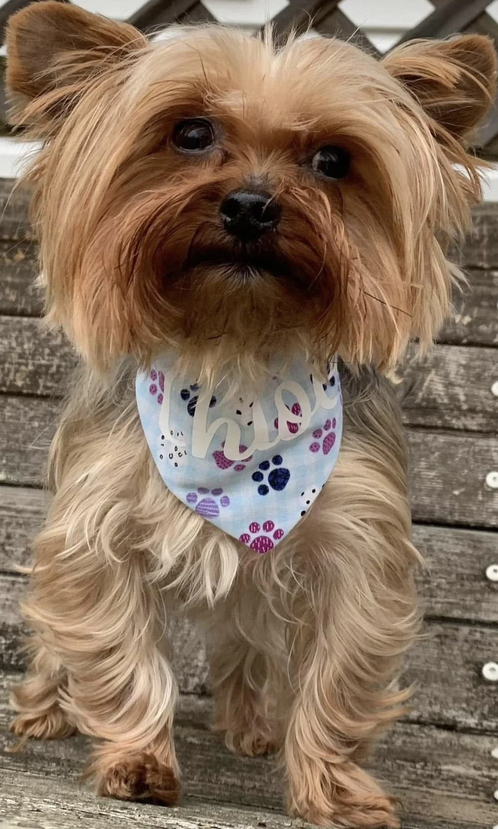 Photo Dec 08 2025, 4 47 44 PM (3).jpg