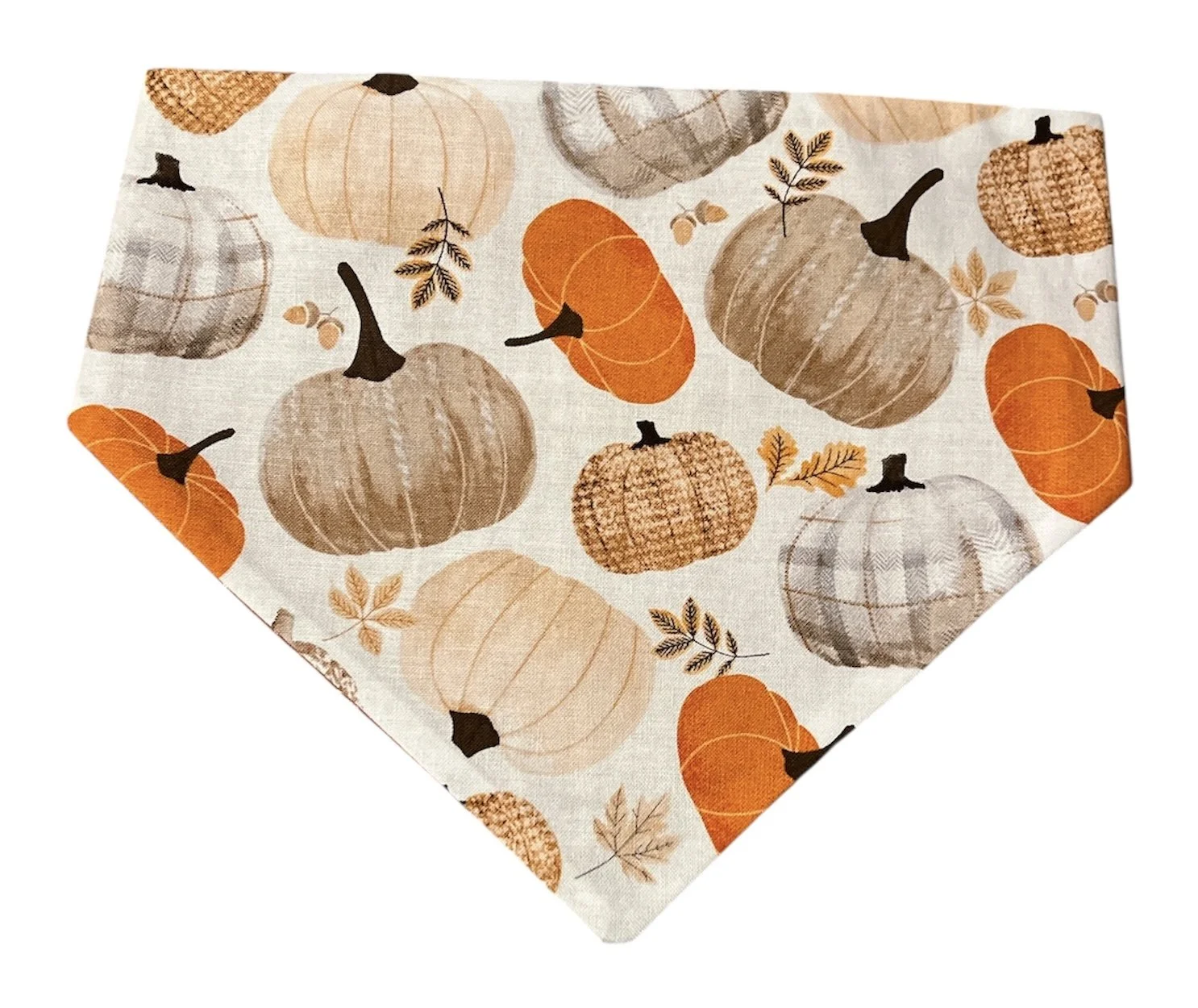 Photo Dec 02 2025, 7 43 30 PM (2).jpg