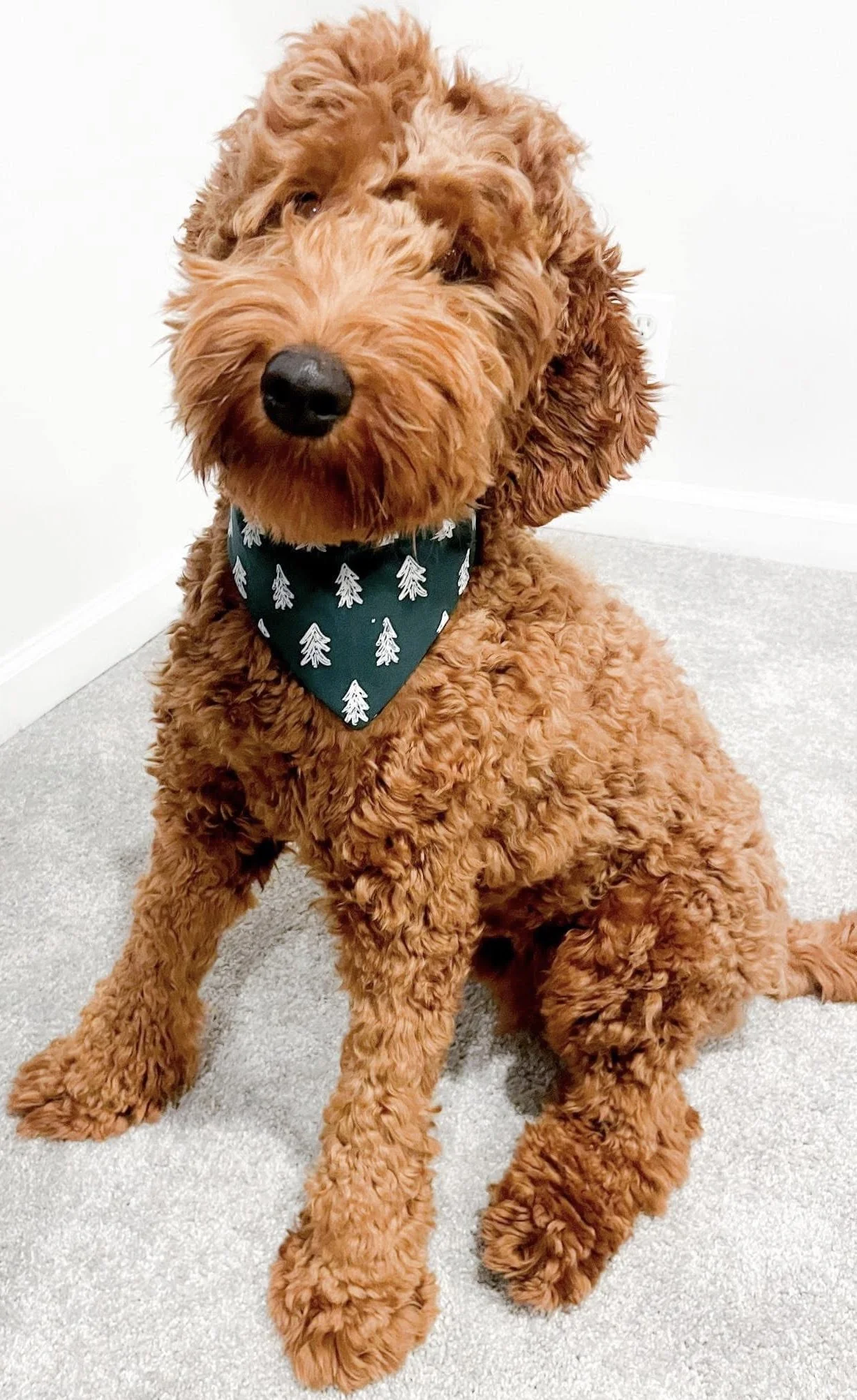 Photo Dec 07 2025, 8 42 43 PM (8).jpg