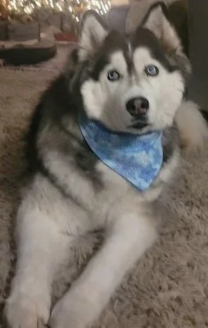 Photo Dec 07 2025, 8 42 43 PM (12).jpg