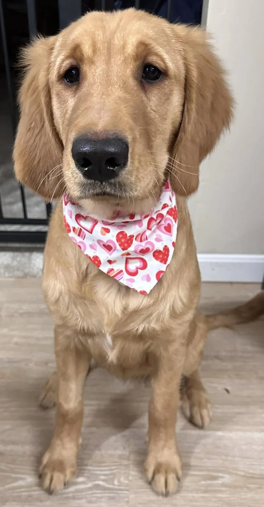 Photo Dec 07 2025, 8 46 24 PM (9).jpg