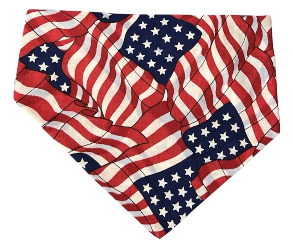 Photo Dec 03 2025, 1 35 40 PM (60).jpg