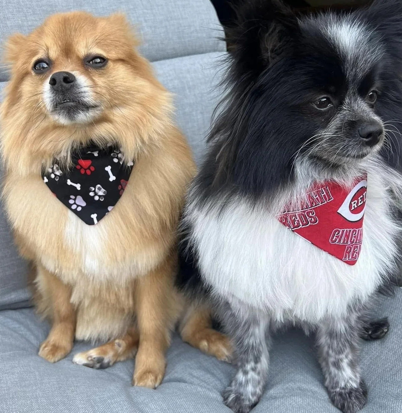 Photo Dec 07 2025, 9 00 38 PM (4).jpg