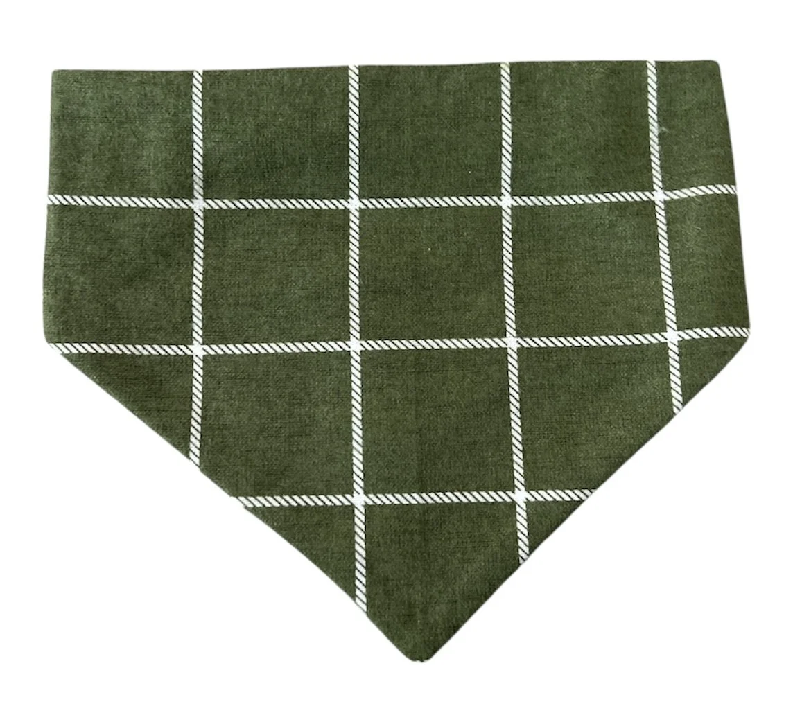 Photo Dec 03 2025, 1 35 40 PM (37).jpg