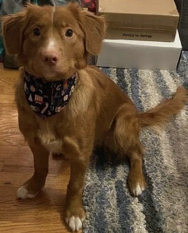 Photo Dec 07 2025, 9 16 22 PM (2).jpg