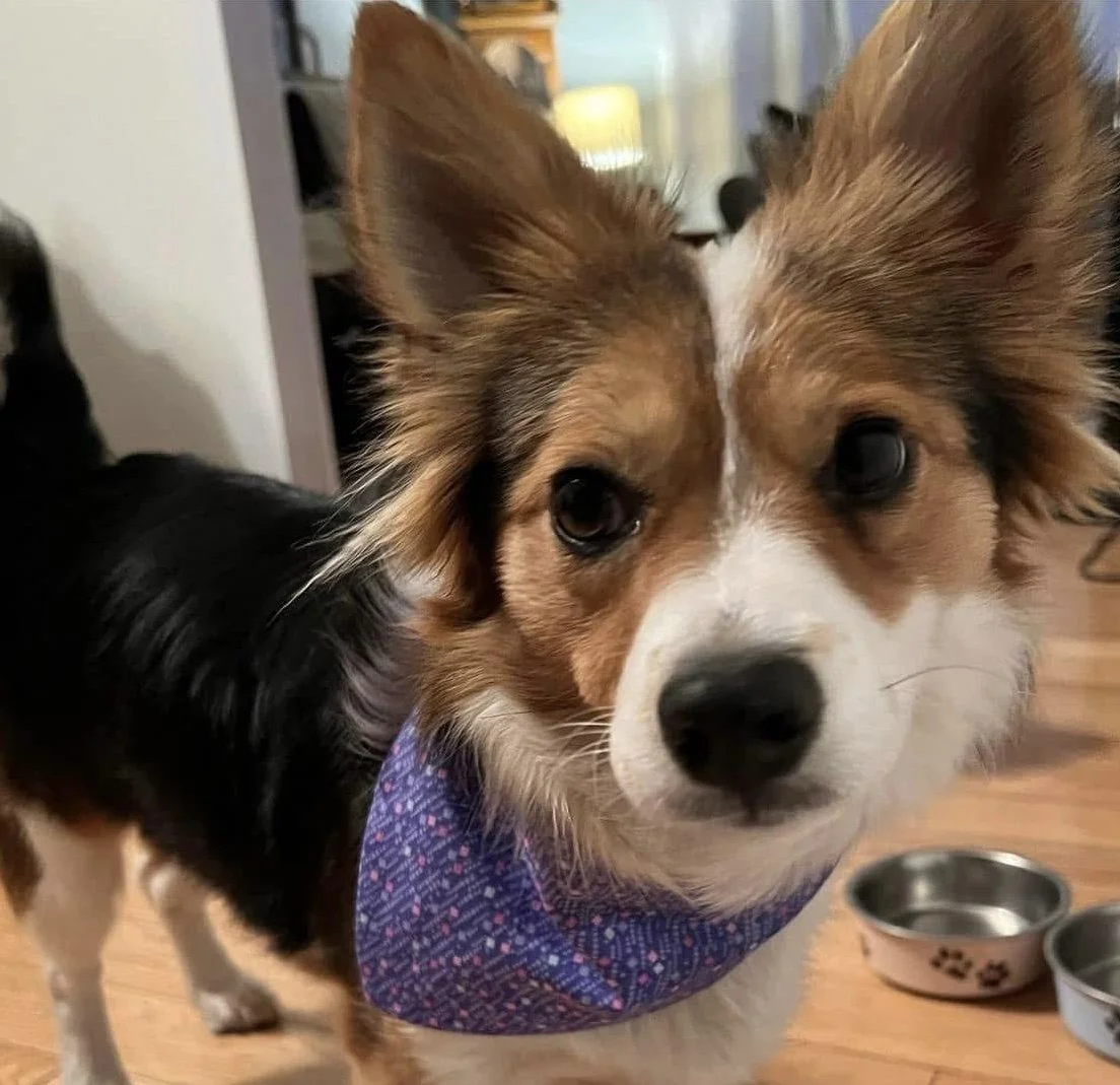 Photo Dec 07 2025, 9 00 38 PM (5).jpg