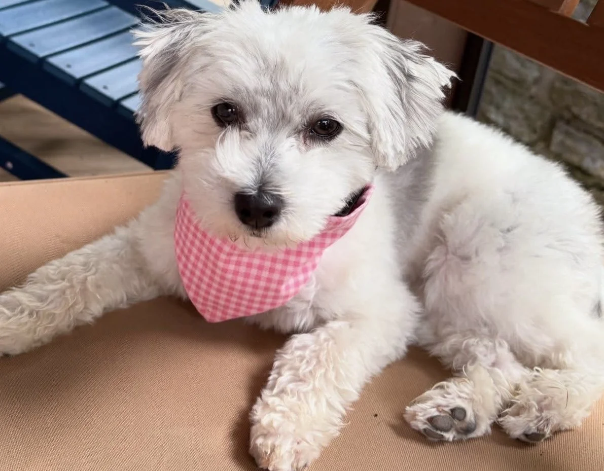 Photo Dec 07 2025, 8 46 24 PM (10).jpg